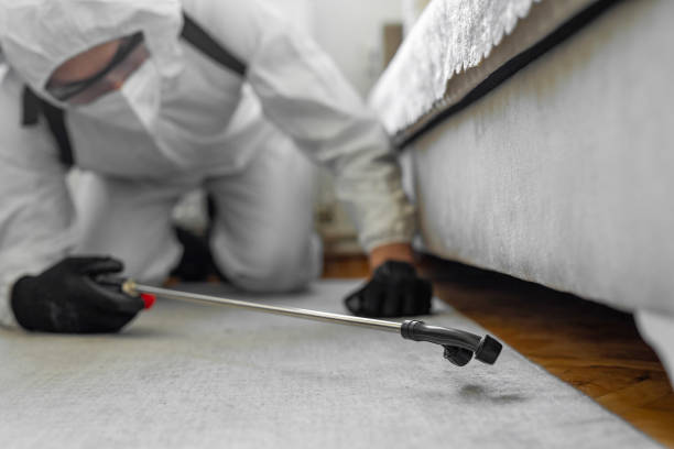Professional Pest Control technician working in Cuba, MO