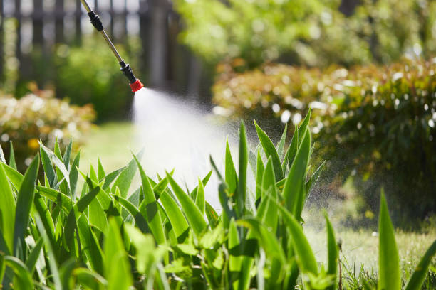 24/7 Emergency Pest Control experts in Cuba, MO